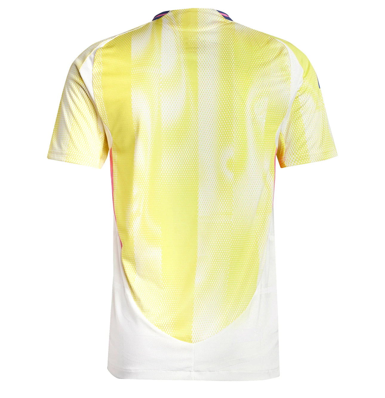 Camisola Juventus 24/25 Alternativa