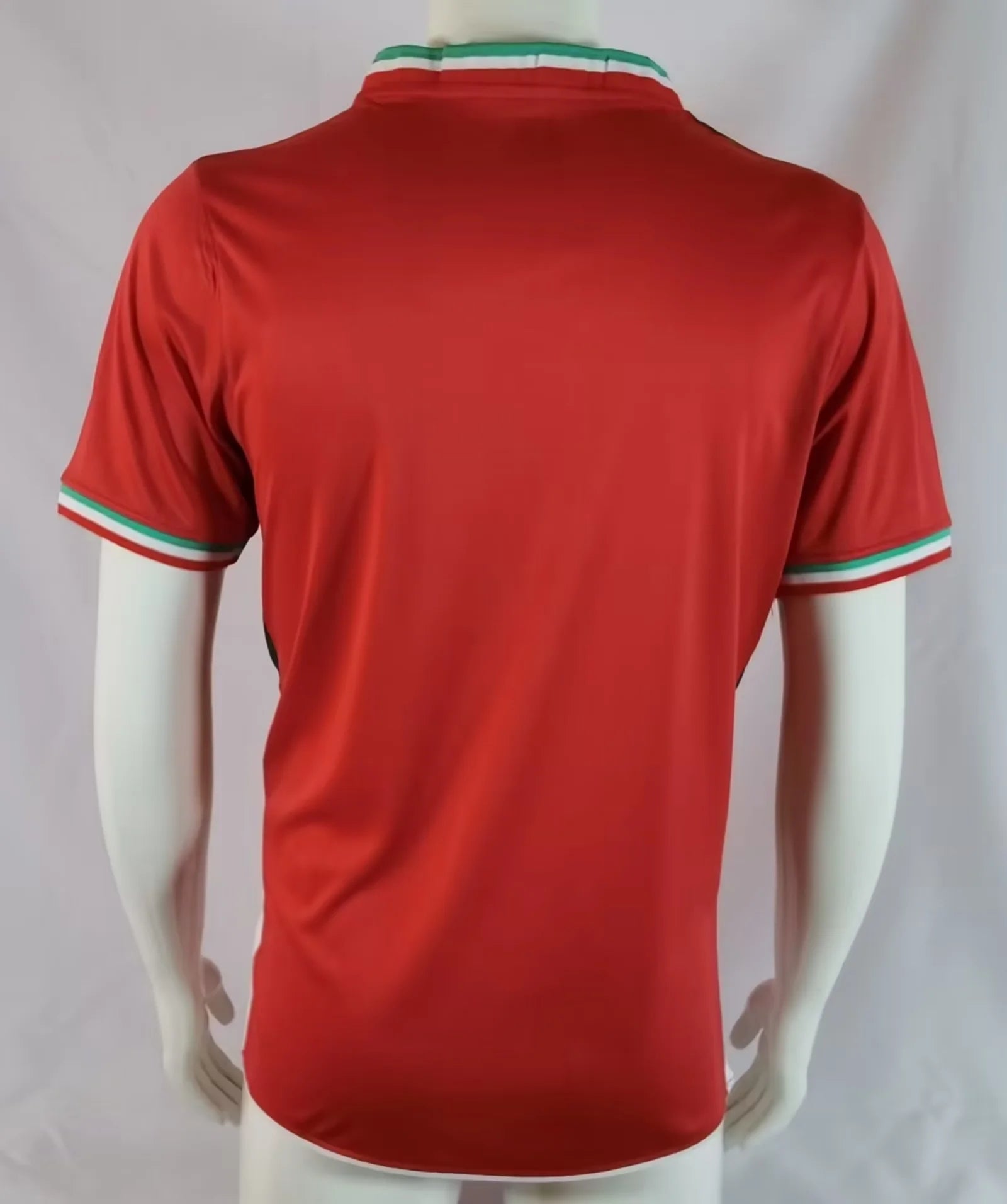 Camisola Irã 2022 Alternativa