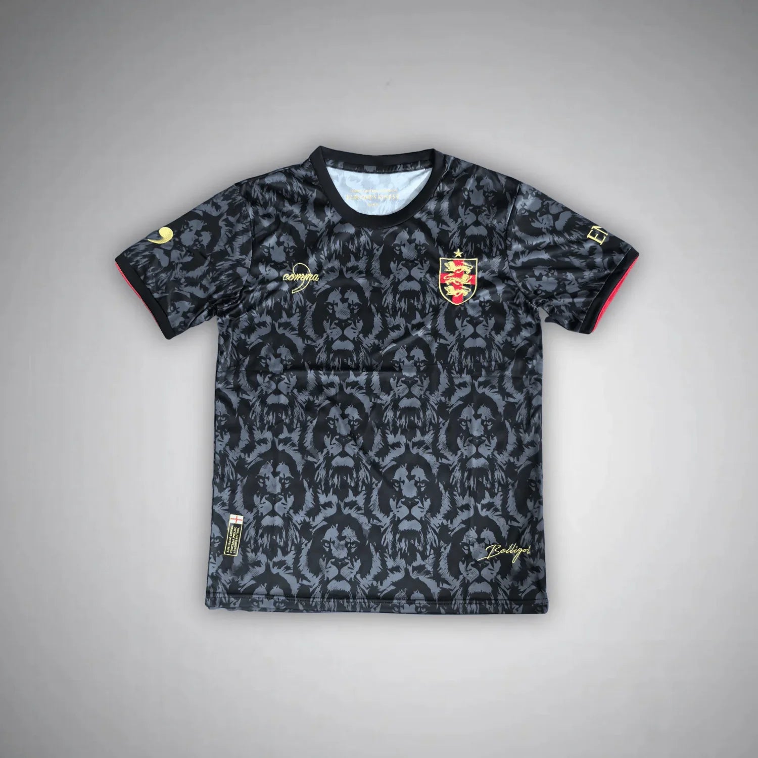 Camisola Inglaterra 24/25 - Edição Especial