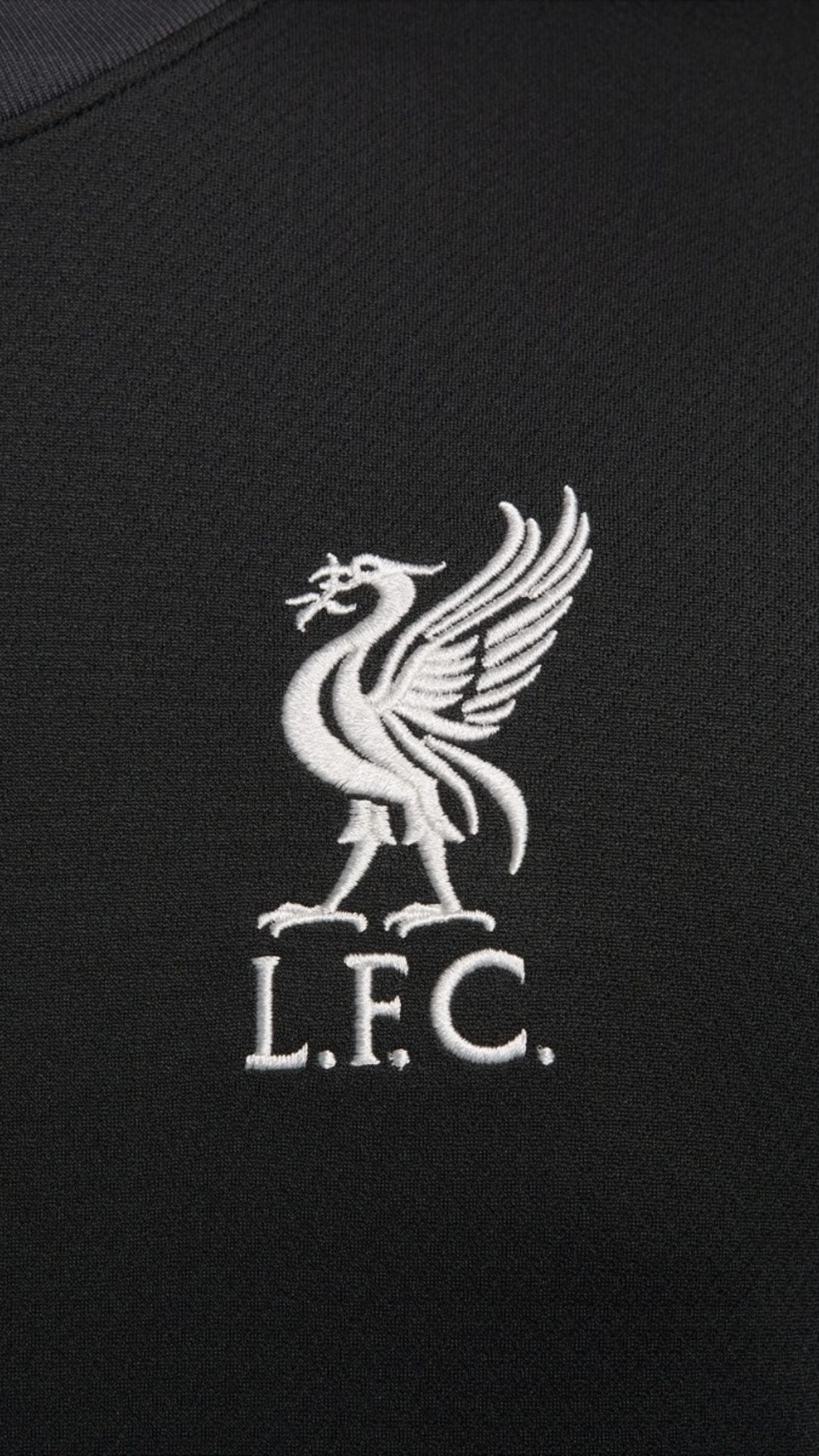 Camisola Liverpool 24/25 Alternativa