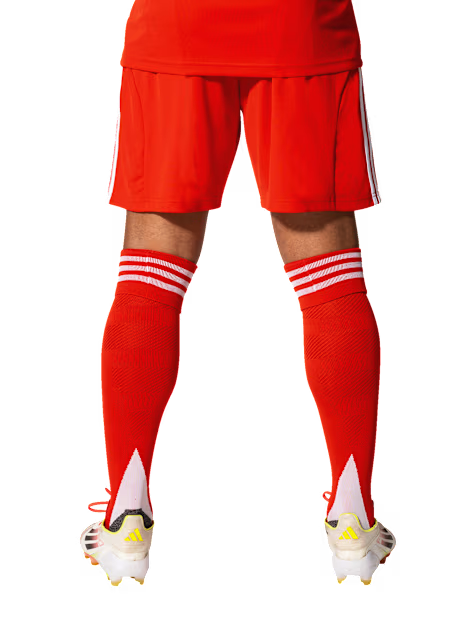 Calções Bayern Munique 25/26 Principal