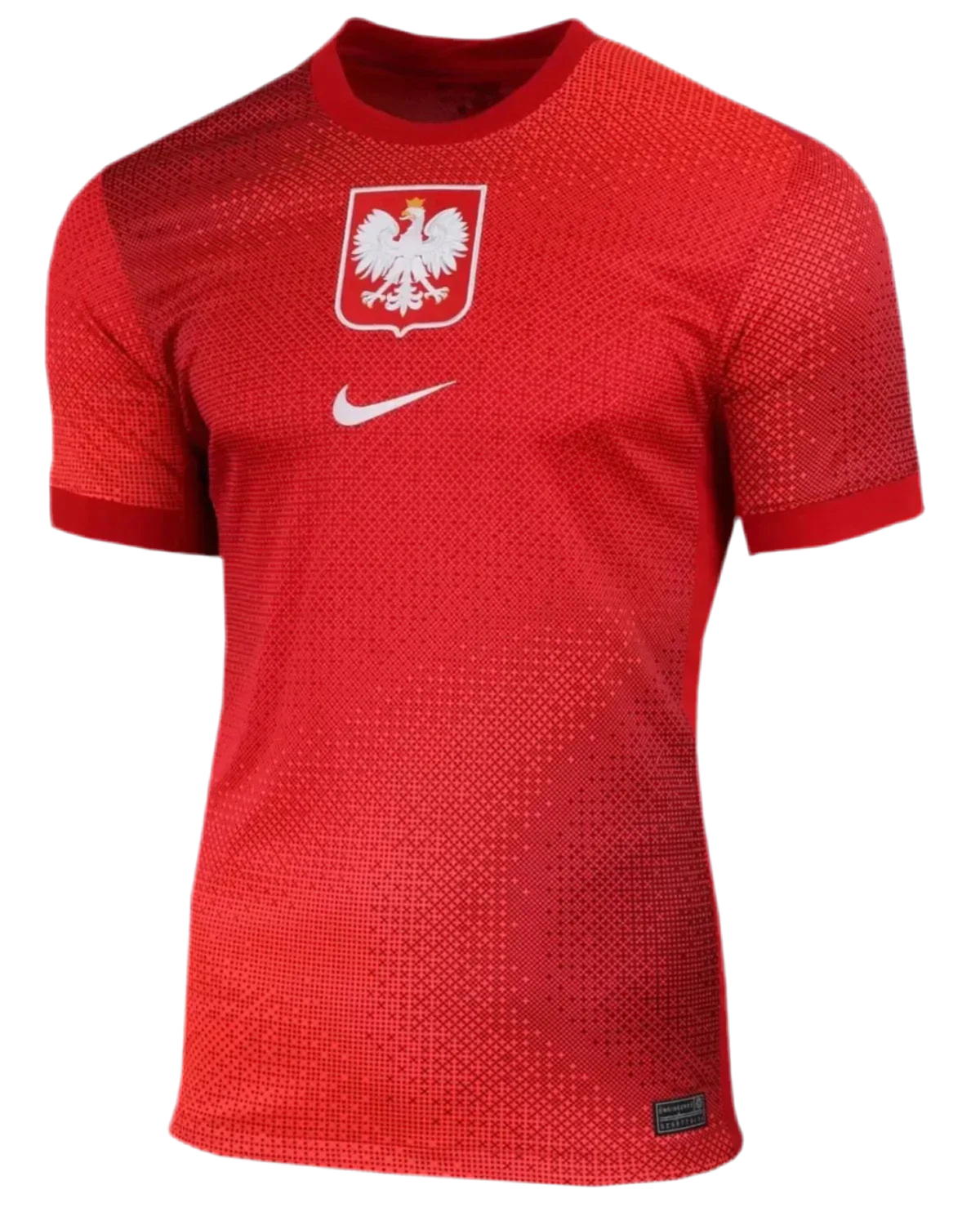 Camisola Polônia 24/25 Alternativa
