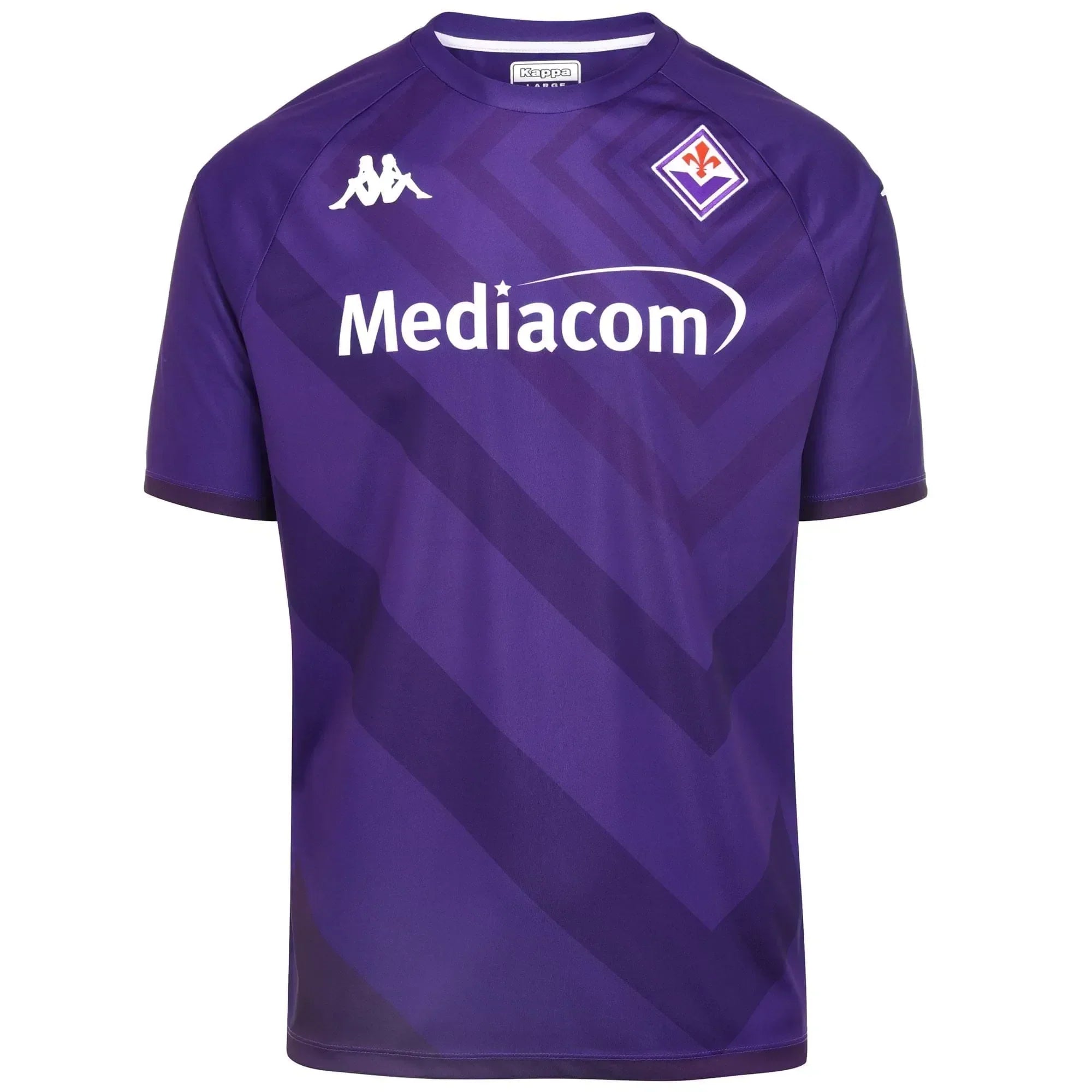 Camisola Fiorentina 23/24 Principal