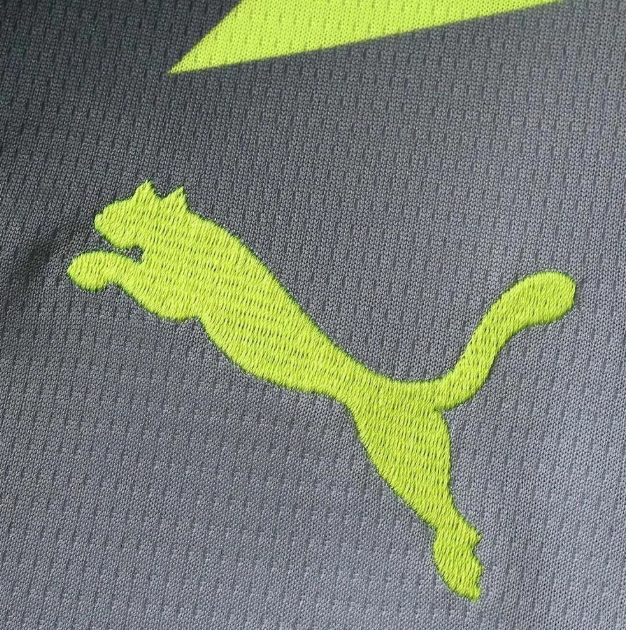 Camisola Borussia Dortmund 25/26 Alternativa