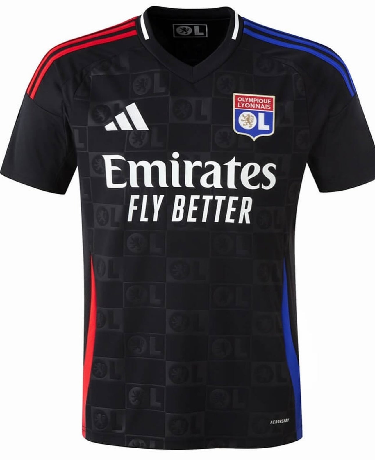 Camisola Lyon 24/25 Alternativa