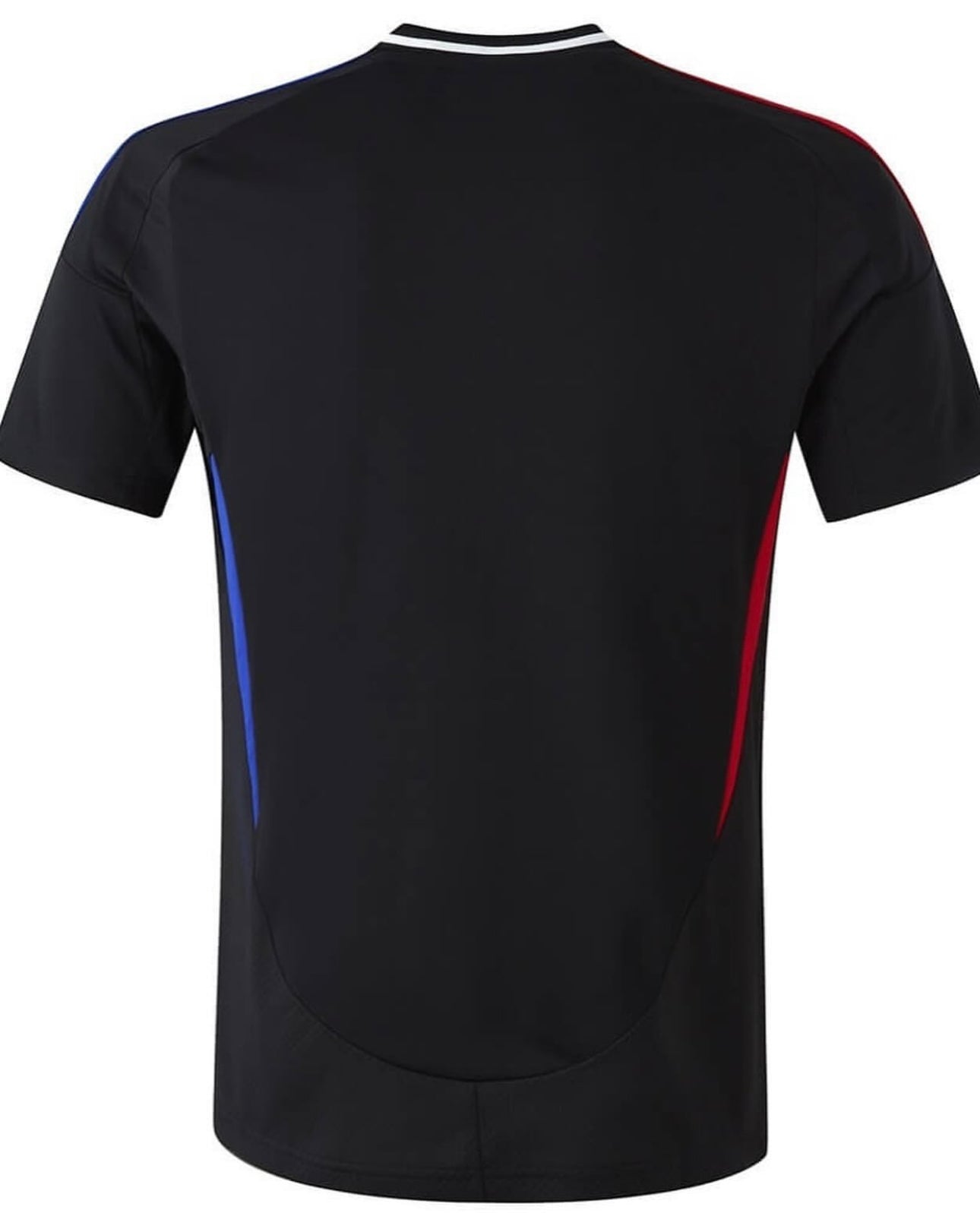 Camisola Lyon 24/25 Alternativa