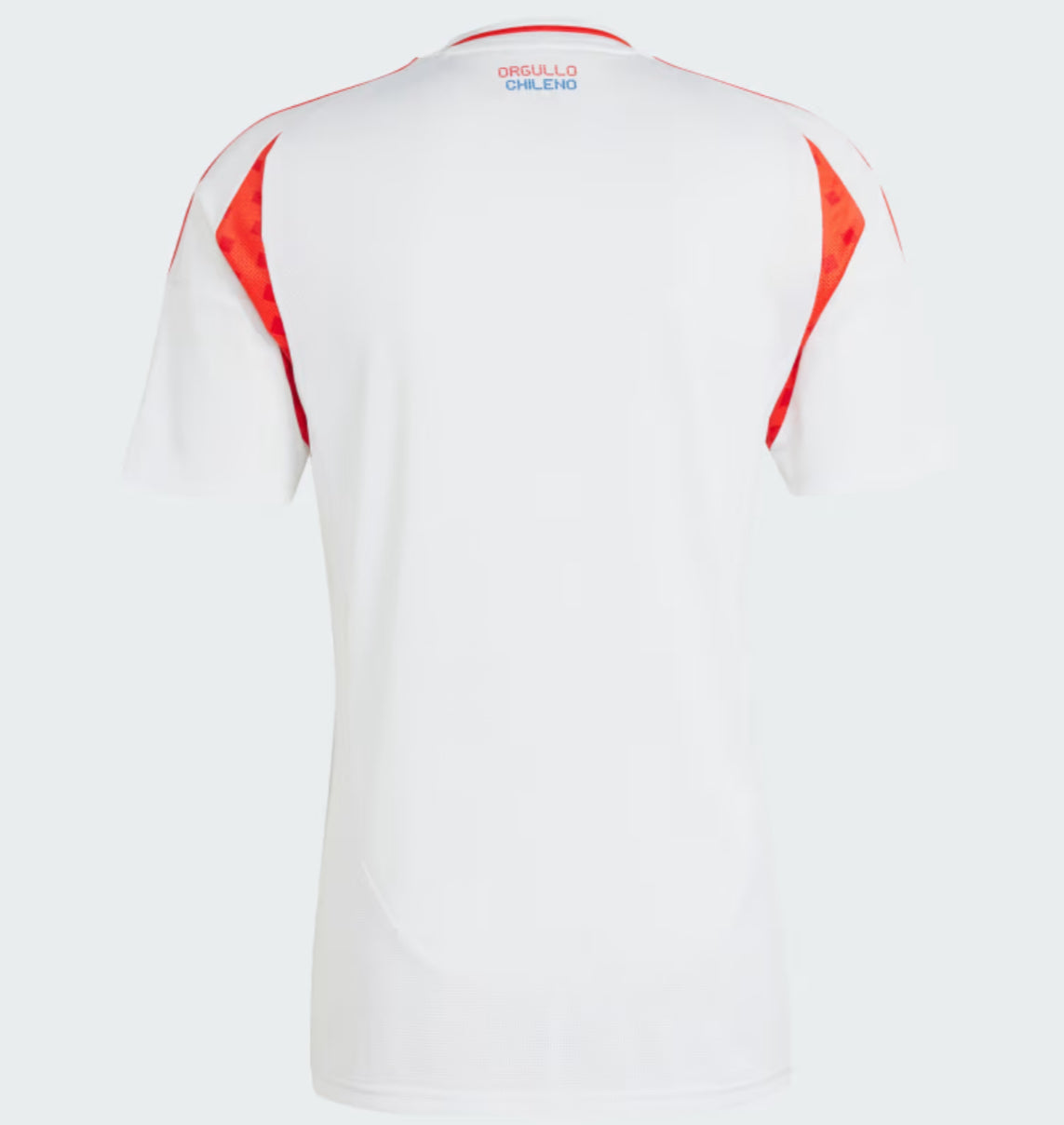 Camisola Chile 24/25 Alternativa