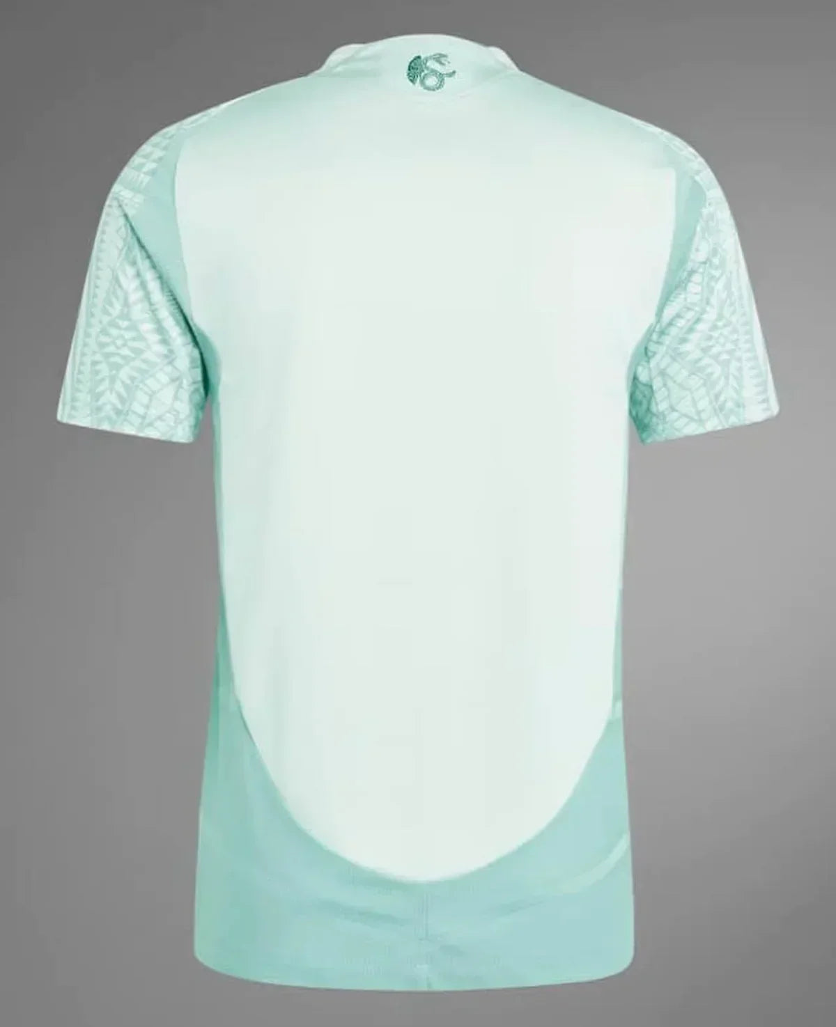 Camisola México 24/25 Alternativa