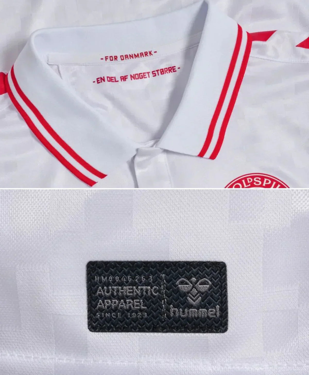 Camisola Dinamarca 24/25 Alternativa