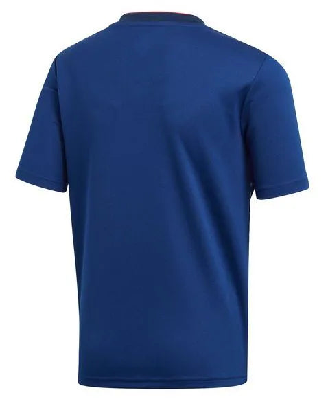 Camisola Japão 2019