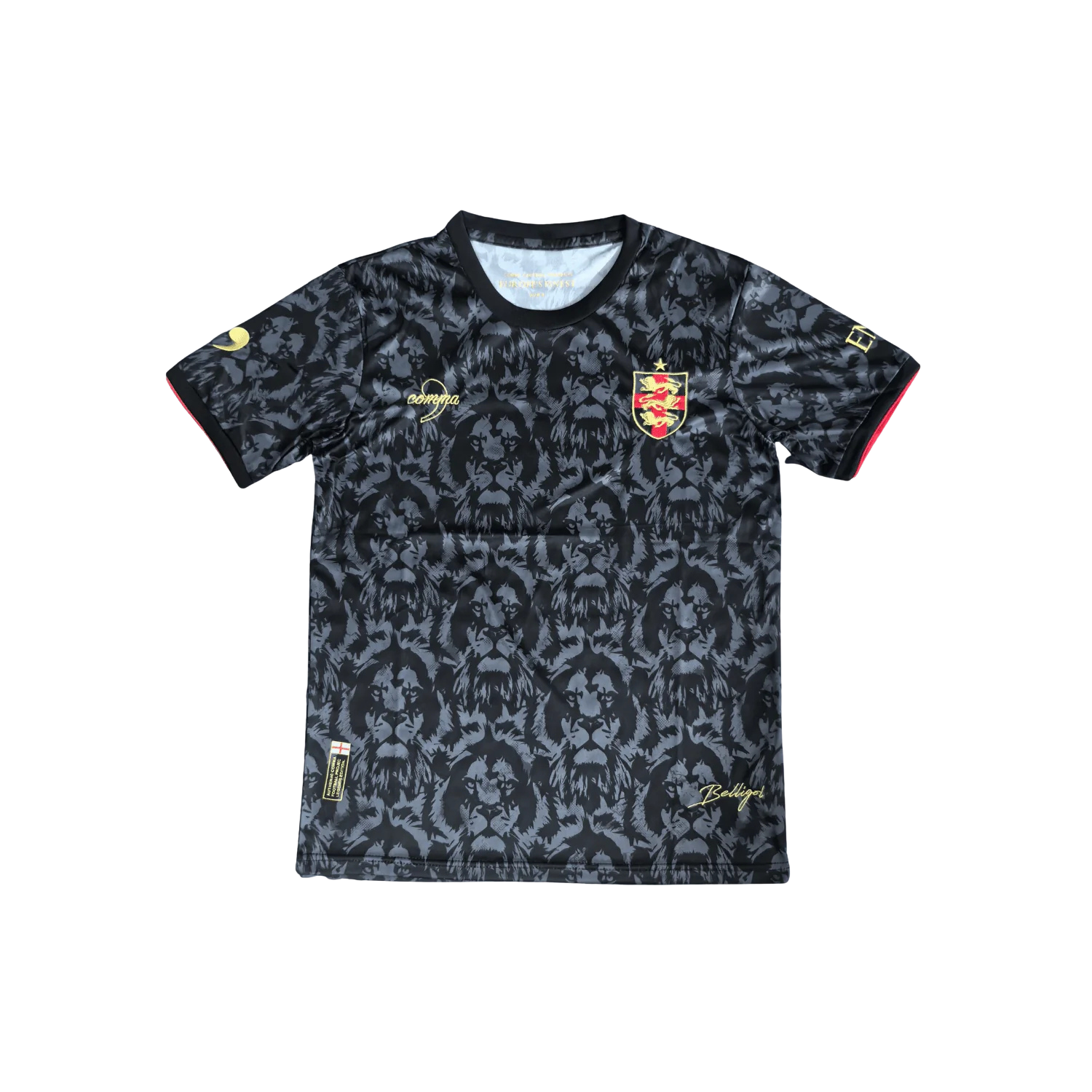 Camisola Inglaterra 24/25 - Edição Especial